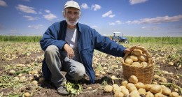 Yaşlı nüfusun iş gücüne katılımı en fazla tarım sektöründe