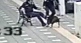 Manisa’da iki polis pitbull saldırısına uğradı