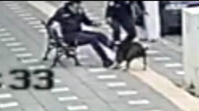 Manisa’da iki polis pitbull saldırısına uğradı