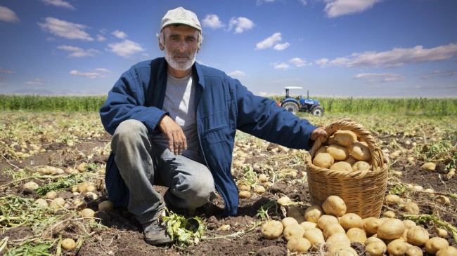Yaşlı nüfusun iş gücüne katılımı en fazla tarım sektöründe