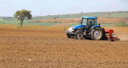 Türkiye’de tahıllar ve bitkisel ürünlerde üretim artacak